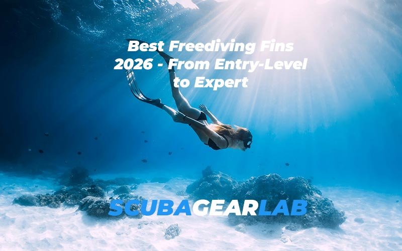 Best Freediving Fins 2026 – From Entry-Level to Expert